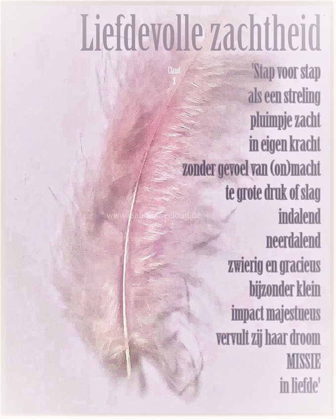 In 'Flow' (zie video vorige blog) werd deze tekst geboren: 'Liefdevolle zachtheid'